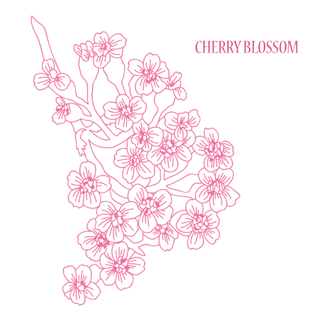 Elegant decorative cherry blossom flowers, design element. Floral branch. Floral decoration for vintage wedding invitations, greeting cards, bannersのイラスト素材