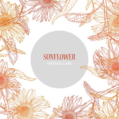 Elegant card with sunflowers, design element. Can be used for wedding, baby shower, mothers day, valentines day, birthday cards, invitations. Vintage decorative flowers.のイラスト素材