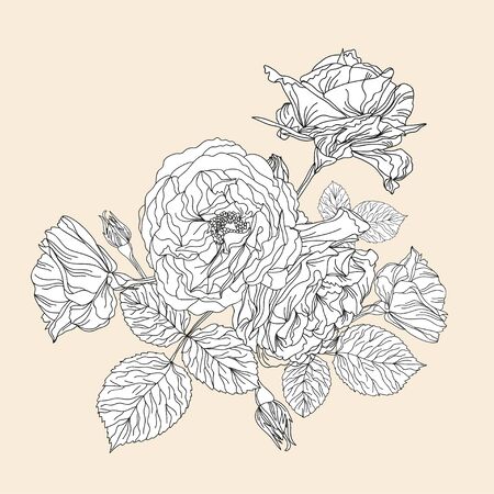 Elegant decorative roses floral bouquet, design element. Floral decoration for  invitations, greeting cards, banners, patterns, print, fabric, manufacturingのイラスト素材