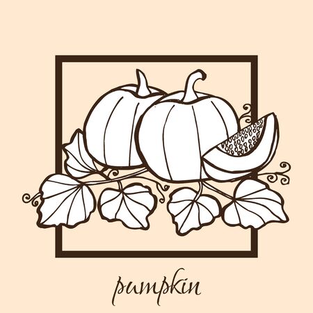 Hand drawn decorative pumpkins, design elements. Can be used for cards, invitations, gift wrap, print, scrapbooking, food menu, labels. Vegetable background. Food themeのイラスト素材