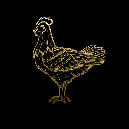 Elegant hand drawn decorative chicken, farm domestic bird. Can be used for cards, invitations, print, gift wrap, gift paper, scrapbooking, manufacturing, flyers, banners, food, menu, farm themesのイラスト素材