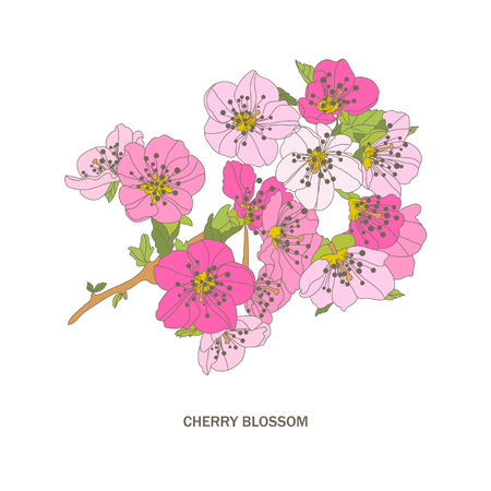 Elegant hand drawn decorative cherry blossom flowers, design element. Floral branch. Floral decoration for invitations, cards, posters, banners, print, scrapbooking, manufacturing. Vintage flowersのイラスト素材