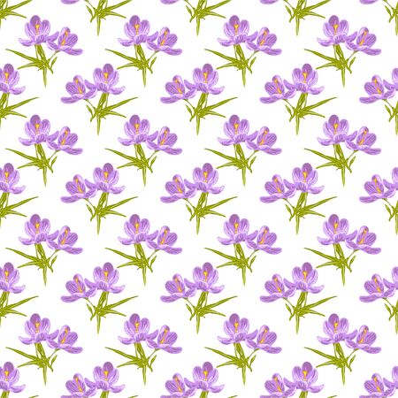 Hand drawn decorative crocus flowers, design elements. Floral pattern for wedding invitations, greeting cards, scrapbooking, print, gift wrap, manufacturing. Editableのイラスト素材