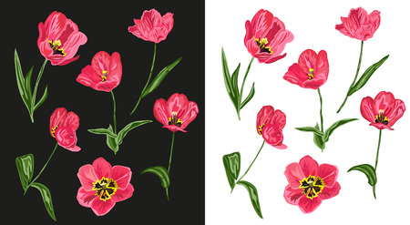 Elegant hand drawn decorative red tulip flowers, design elements. Floral branches. Floral decorations for invitations, cards, posters, banners, print, scrapbooking, manufacturing. Vintage flowersのイラスト素材