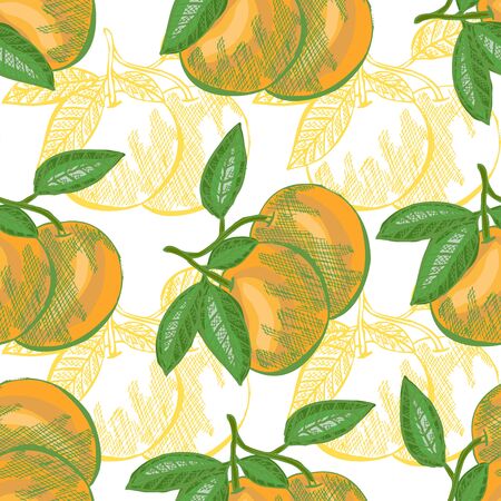 Elegant seamless pattern with hand drawn decorative grapefruits, design elements. Can be used for invitations, cards, scrapbooking, print, gift wrap, manufacturing. Food background. Editableのイラスト素材