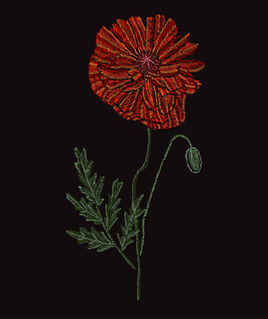 Elegant poppy flower design element.のイラスト素材