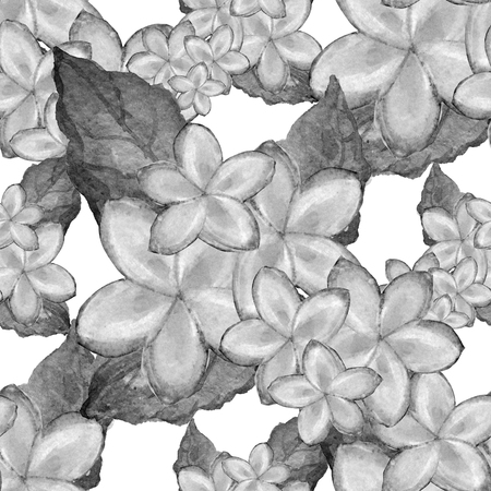 Elegant seamless pattern with watercolor plumeria flowers, design elements. Floral tropical pattern for invitations, greeting cards, scrapbooking, print, gift wrap, manufacturing, textile. の写真素材