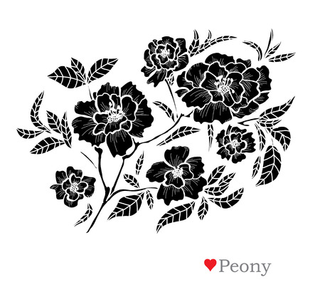 Decorative peony  flowers, design elements. Can be used for cards, invitations, banners, posters, print design. Floral background in line art styleのイラスト素材