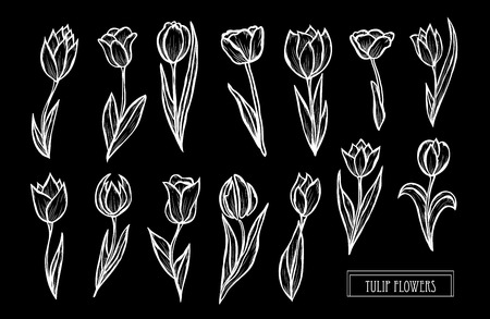 Decorative  tulip flowers set, design elements. Can be used for cards, invitations, banners, posters, print design. Floral background in line art styleのイラスト素材