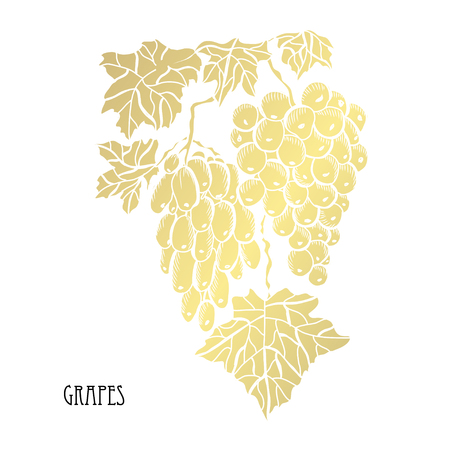 Decorative  grapes, design elements. Can be used for cards, invitations, banners, posters, print design. Golden flowersのイラスト素材