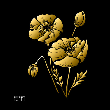 Decorative poppy  flowers, design elements. Can be used for cards, invitations, banners, posters, print design. Golden flowersのイラスト素材