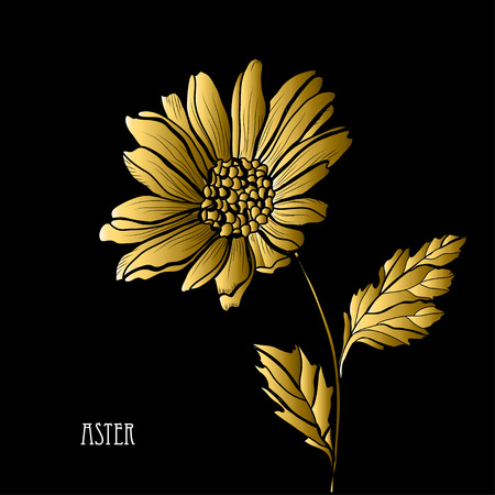 Decorative aster  flower, design element. Can be used for cards, invitations, banners, posters, print design. Golden flowersのイラスト素材