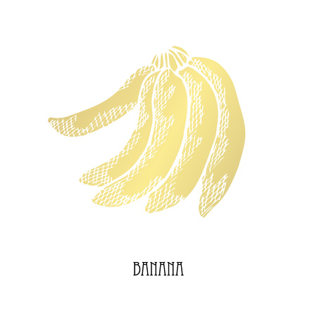 Hand drawn golden banana, design element. Can be used for cards, invitations, scrapbooking, print, fabric, manufacturing, food themes. Food theme. Golden fruitsのイラスト素材