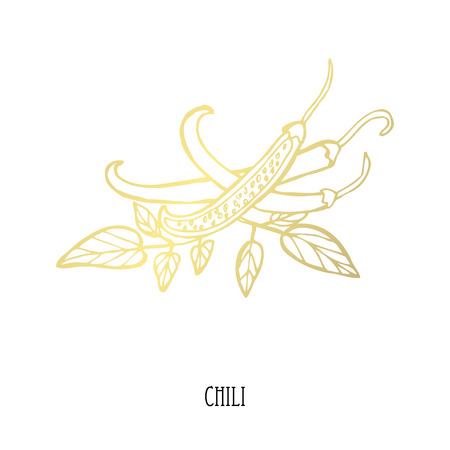 Hand drawn golden chili, design element. Can be used for cards, invitations, scrapbooking, print, fabric, manufacturing, food themes. Food theme. Golden vegetablesのイラスト素材