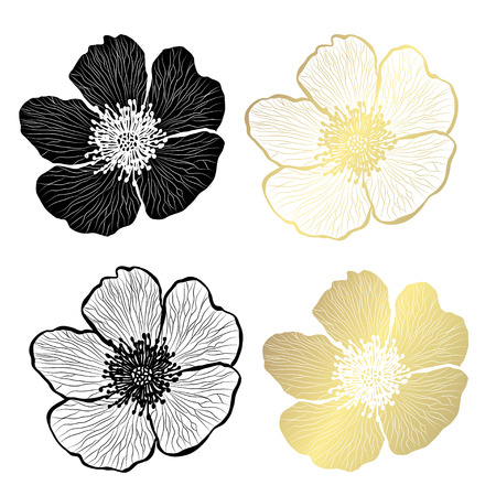 Decorative dog rose flowers, design elements. Can be used for cards, invitations, banners, posters, print design. Golden flowersのイラスト素材
