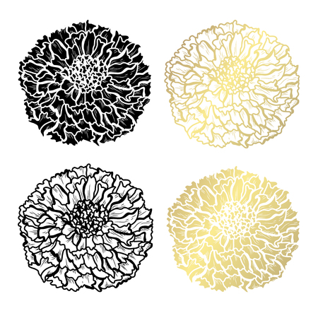 Decorative marigold flowers, design elements. Can be used for cards, invitations, banners, posters, print design. Golden flowersのイラスト素材