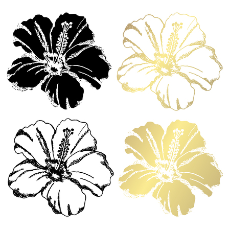 Decorative hibiscus  flowers, design elements. Can be used for cards, invitations, banners, posters, print design. Golden flowersのイラスト素材