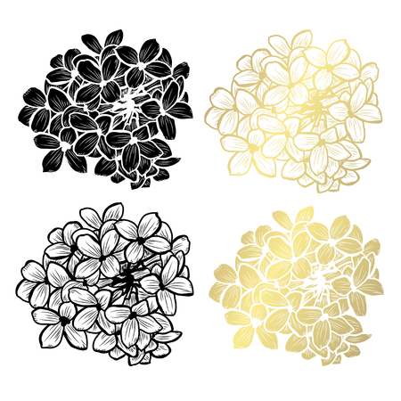 Decorative lilac flowers, design elements. Can be used for cards, invitations, banners, posters, print design. Golden flowersのイラスト素材