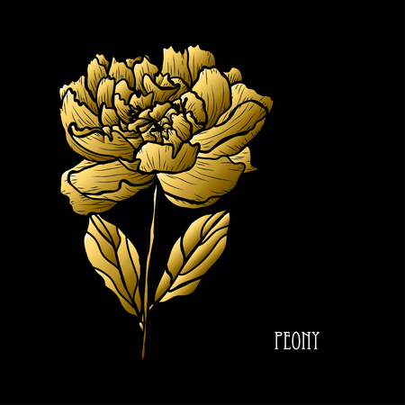 Decorative peony flower, design element. Can be used for cards, invitations, banners, posters, print design. Golden flowersのイラスト素材