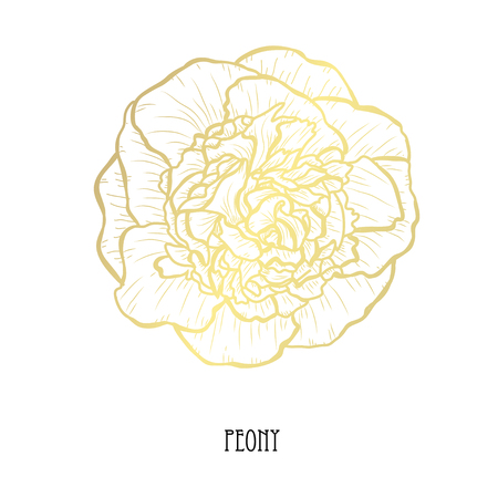 Decorative peony flower, design element. Can be used for cards, invitations, banners, posters, print design. Golden flowersのイラスト素材
