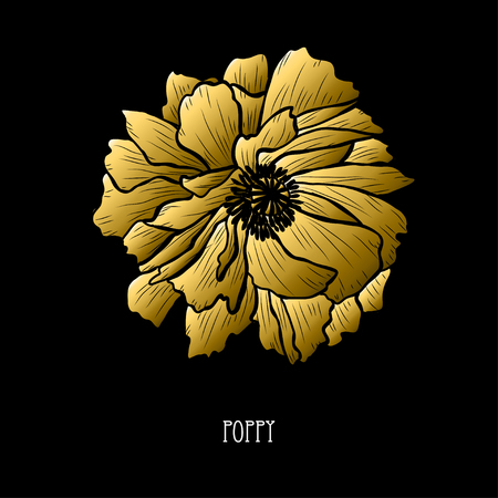 Decorative poppy flower, design element. Can be used for cards, invitations, banners, posters, print design. Golden flowersのイラスト素材