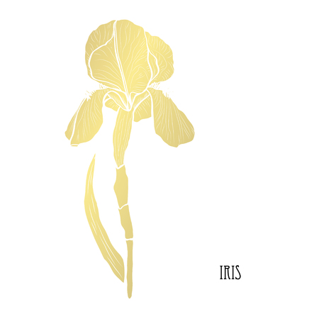 Decorative iris flowers, design elements. Can be used for cards, invitations, banners, posters, print design. Golden flowersのイラスト素材