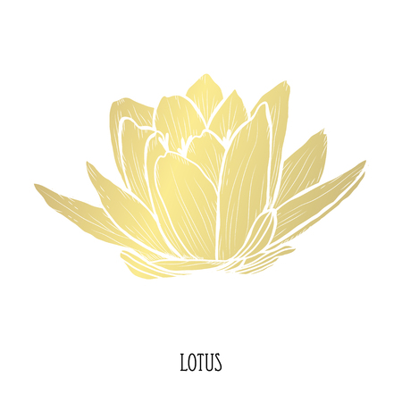 Decorative lotus flower, design element. Can be used for cards, invitations, banners, posters, print design. Golden flowersのイラスト素材