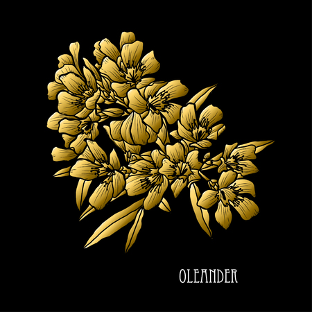 Decorative oleander flowers, design elements. Can be used for cards, invitations, banners, posters, print design. Golden flowersのイラスト素材