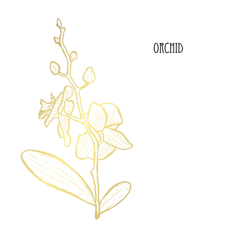 Decorative orchid flower, design element. Can be used for cards, invitations, banners, posters, print design. Golden flowersのイラスト素材