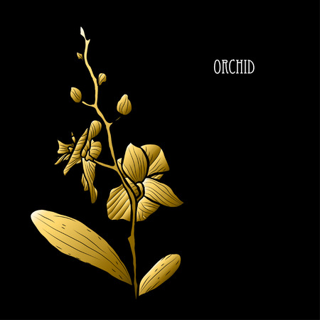 Decorative orchid flower, design element. Can be used for cards, invitations, banners, posters, print design. Golden flowersのイラスト素材