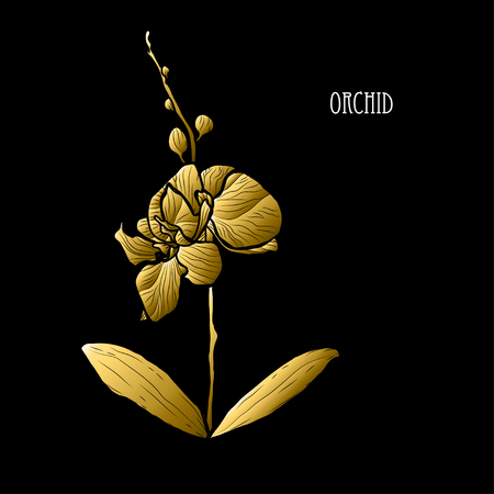 Decorative orchid flower, design element. Can be used for cards, invitations, banners, posters, print design. Golden flowersのイラスト素材