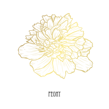 Decorative peony flower, design element. Can be used for cards, invitations, banners, posters, print design. Golden flowersのイラスト素材