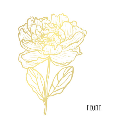 Decorative peony flower, design element. Can be used for cards, invitations, banners, posters, print design. Golden flowersのイラスト素材