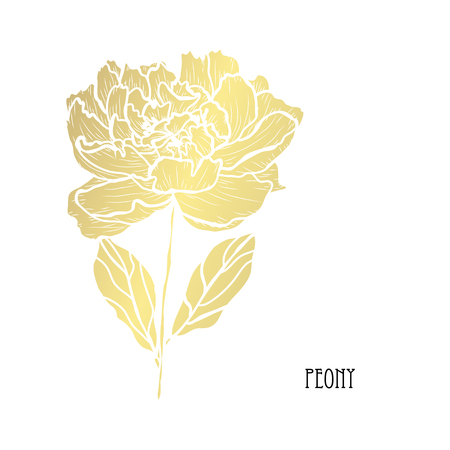Decorative peony flower, design element. Can be used for cards, invitations, banners, posters, print design. Golden flowersのイラスト素材