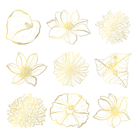 Decorative hand drawn flowers, design elements. Can be used for cards, invitations, banners, posters, print design. Golden flowersのイラスト素材