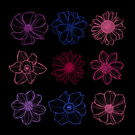 Decorative hand drawn flowers set, design elements. Can be used for cards, invitations, banners, posters, print design. Floral background in line art styleのイラスト素材
