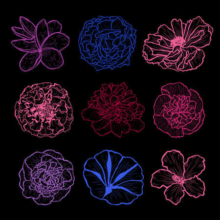 Decorative hand drawn flowers set, design elements. Can be used for cards, invitations, banners, posters, print design. Floral background in line art styleのイラスト素材