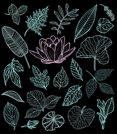 Decorative flowers and leaves set, design elements. Can be used for cards, invitations, banners, posters, print design. Floral background in line art styleのイラスト素材