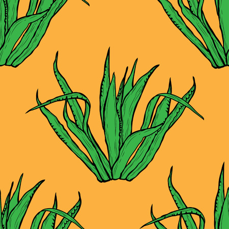 Elegant seamless pattern with agave plants, design elements. Floral  pattern for invitations, cards, print, gift wrap, manufacturing, textile, fabric, wallpapers. Succulentsのイラスト素材