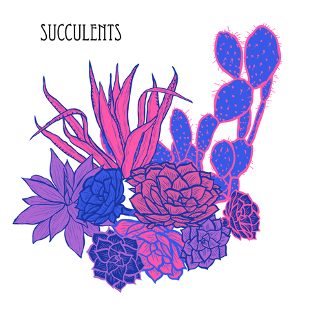 Decorative  succulent plants, design elements. Can be used for cards, invitations, banners, posters, print design. Floral backgroundのイラスト素材