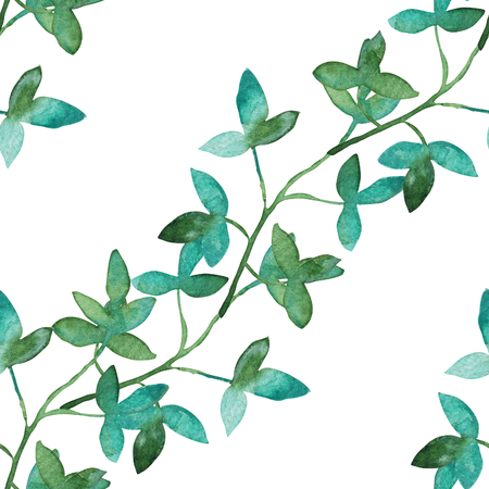 Elegant seamless pattern with watercolor branches with leaves, design elements. Floral pattern for invitations, greeting cards, scrapbooking, print, gift wrap, manufacturingの写真素材