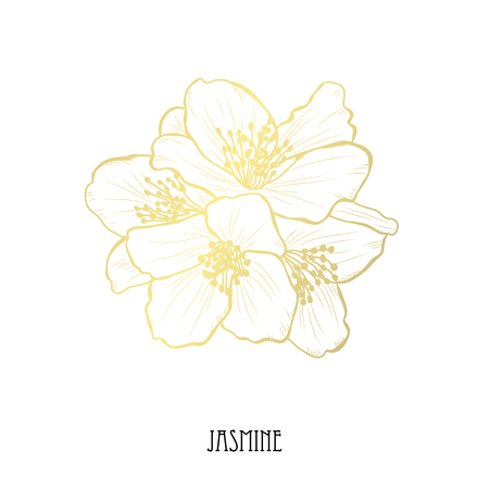 Decorative jasmine flowers, design elements. Can be used for cards, invitations, banners, posters, print design. Golden flowersのイラスト素材