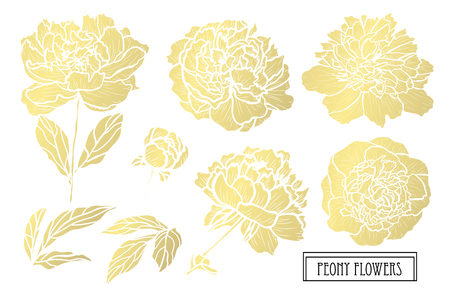 Decorative peony flowers, design elements. Can be used for cards, invitations, banners, posters, print design. Golden flowersのイラスト素材