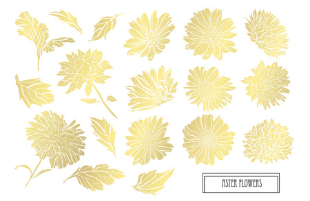 Decorative aster flowers, design elements. Can be used for cards, invitations, banners, posters, print design. Golden flowersのイラスト素材