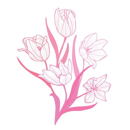 Decorative hand drawn tulip  flowers, design elements. Can be used for cards, invitations, banners, posters, print design. Floral background in line art styleのイラスト素材