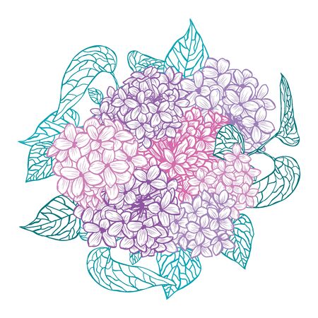 Decorative hand drawn lilac  flowers, design elements. Can be used for cards, invitations, banners, posters, print design. Floral background in line art styleのイラスト素材