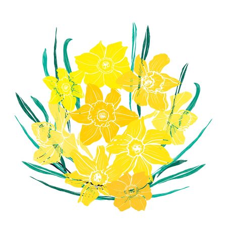 Decorative hand drawn daffodil  flowers, design elements. Can be used for cards, invitations, banners, posters, print design. Floral background in line art styleのイラスト素材