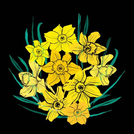 Decorative hand drawn daffodil  flowers, design elements. Can be used for cards, invitations, banners, posters, print design. Floral background in line art styleのイラスト素材