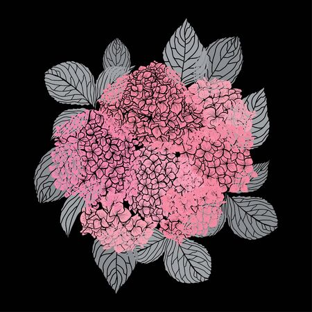 Decorative hand drawn hydrangea flowers, design elements. Can be used for cards, invitations,...