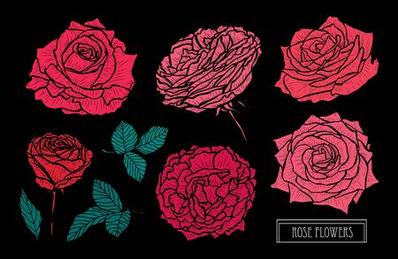 Decorative hand drawn rose flowers set, design elements. Can be used for cards, invitations, banners, posters, print design. Floral background in line art styleのイラスト素材